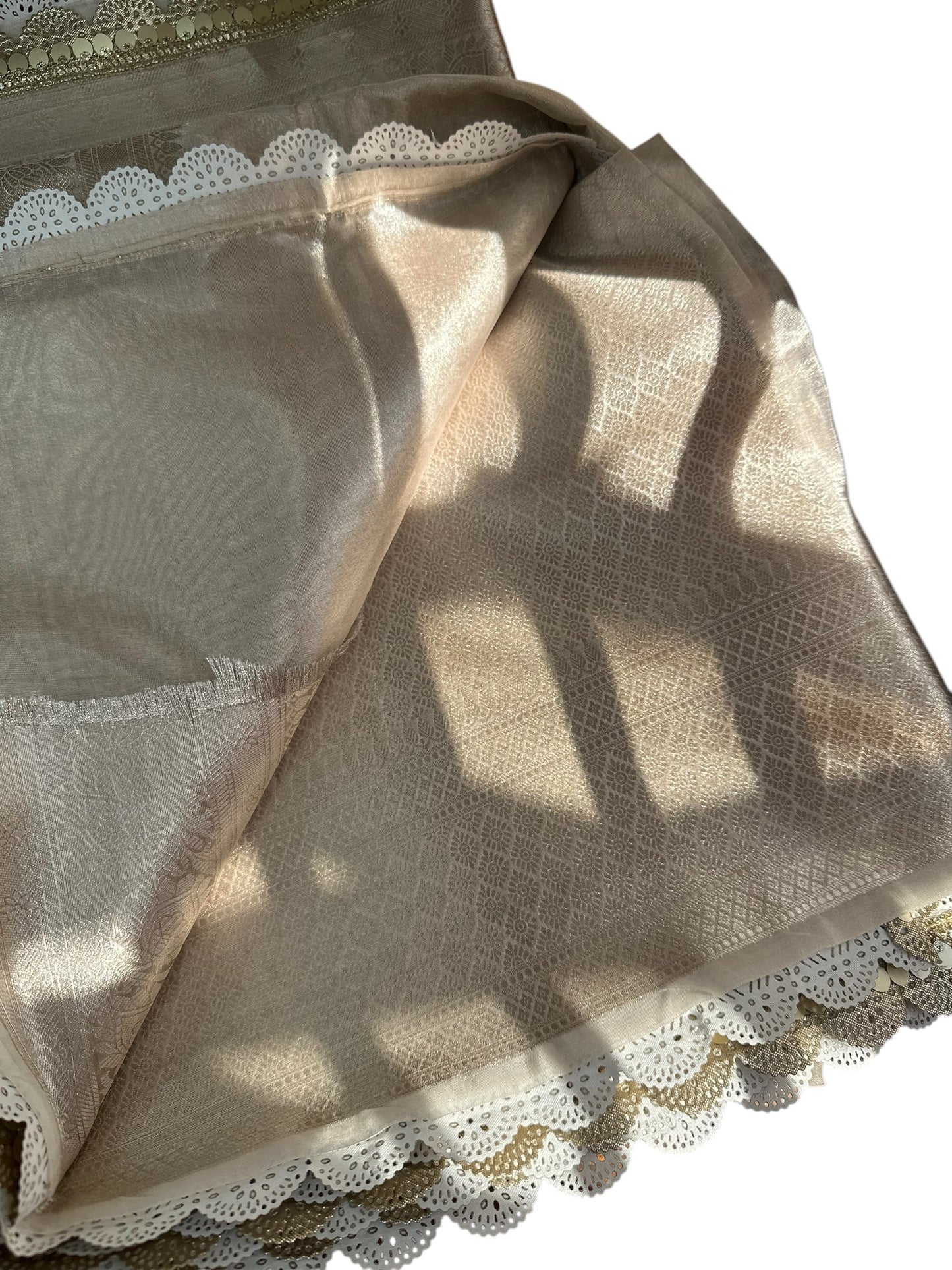 Shraddha kapoor tissue lace saree
