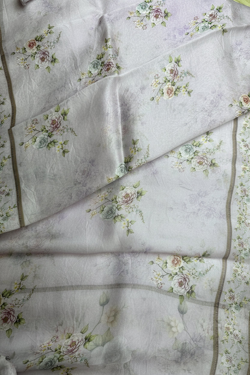 light grey Pure printed organza saree