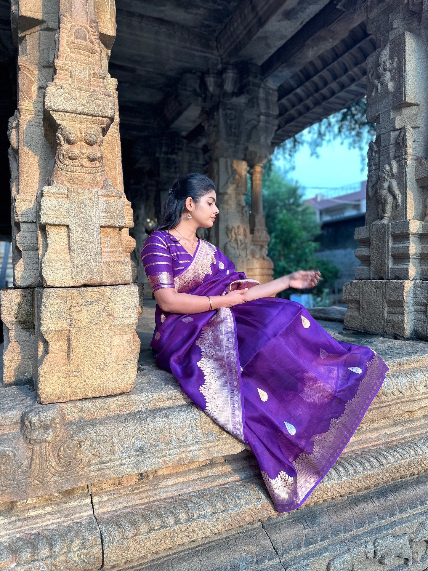 Nethra purple handloom pure organza saree