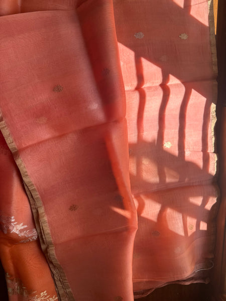SILK ORGANZA SAREE PURE KORA SONA ROOPA RANGKAT