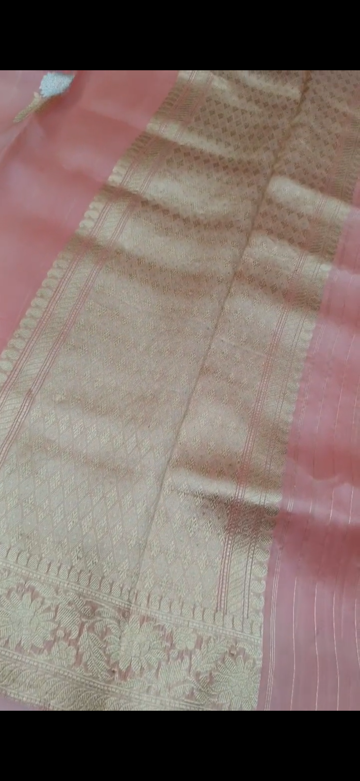 Peach rekha ji Pure organza silk saree