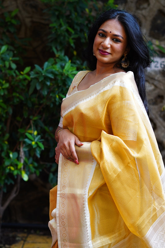 Gold - silver Soft tissue saree