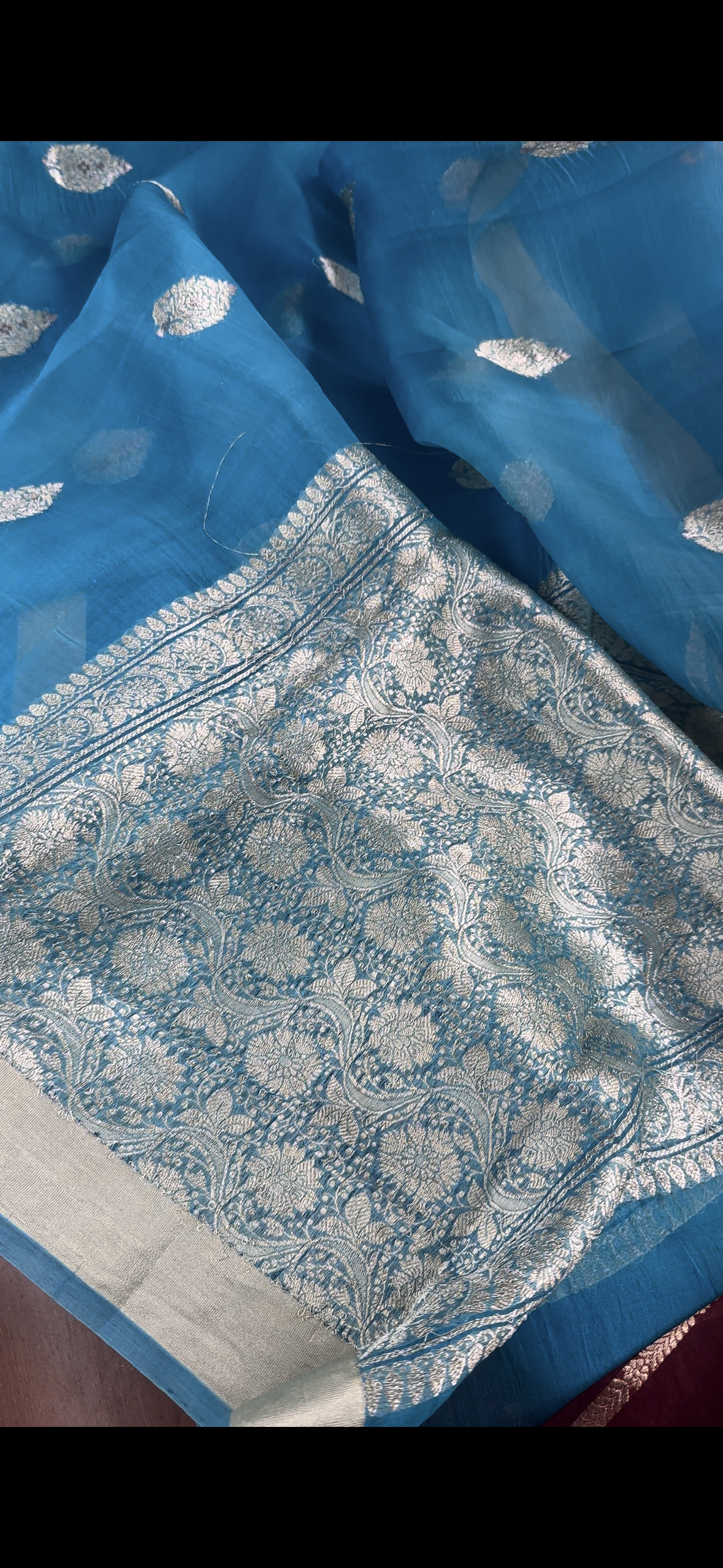 Blue Pure organza silk saree